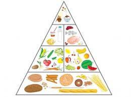 The Healthy Living Pyramid